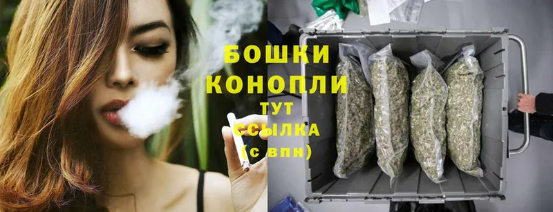 Марихуана SATIVA & INDICA  как найти закладки  Гатчина 